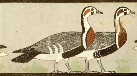 Meidum-Gänse, aus dem Grab von Nefermaat und Atet, Altes Reich, um 2620 v. Chr.