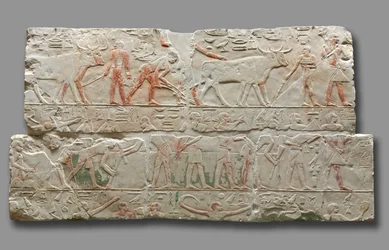 Relief von landwirtschaftlichen Szenen, aus Saqqara, ca. 2311-2281
