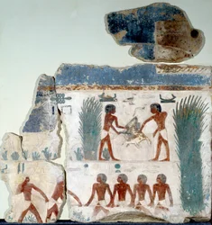 Ägyptische Antiquität: Sommeranfang. Vögel werden von zwei Bauern getötet. Detail eines bemalten Kalksteinfreskos aus dem Sonnentempel von Abu Gurob. Berlin, Ägyptisches Museum