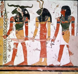 Grab von Nefertari mit den Göttern Knoum und Sekeuti