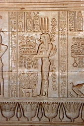 Ägyptische Antike: Darstellung einer jungen Frau, die Opfergaben als Hommage an die Göttin bringt, Tempel von Hathor, Denderah, Ägypten