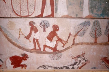 Szene der Landwirtschaft (Mähen und Holzschneiden), aus dem Grab des Schreibers Menna, Ägypten, Sheikh Abd el-Qurna, Tal der Adligen