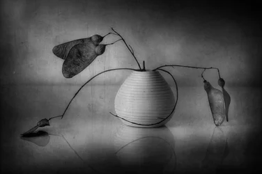 Minimalistisches botanisches Stillleben