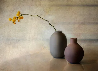 Minimalistische Blumenvasen