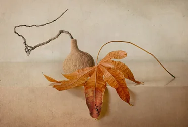 Natürliches Herbst-Stillleben