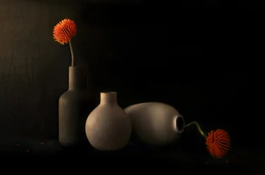 Orangenblüte Stillleben