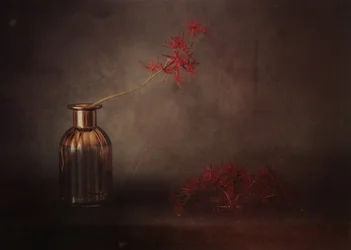 Rote Blüte Stillleben