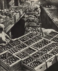 Der Rote Gärtner Kollektivfarm. Illustration aus UdSSR baut Sozialismus, 1933