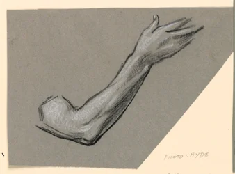 Studie eines Arms