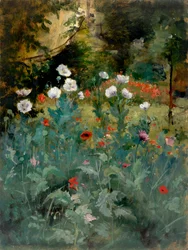 Mohnblumen, spätes 19. bis frühes 20. Jahrhundert