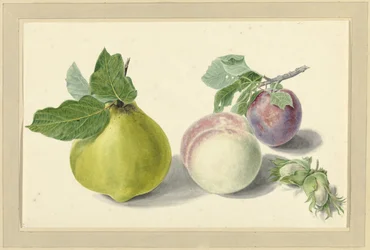 Eine Birne, Pfirsich, Pflaume und Nüsse