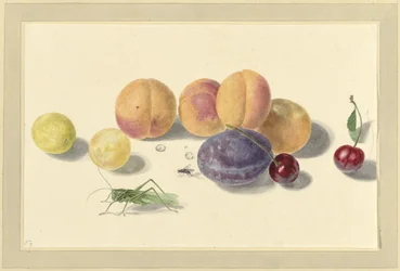 Pfirsiche, Pflaumen, Kirschen und zwei Insekten