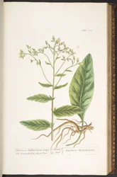 Tafel 102, aus 