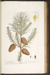 Tafel 190, aus 