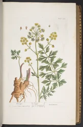 Tafel 275, aus 