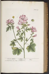 Tafel 309, aus 