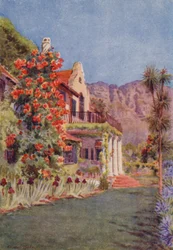 Bignonia grandiflora im Paradies, Claremont