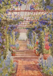 Pergola bedeckt mit blauer Ipomoea Learii de Grendel, Tygerberg