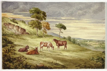 Deer Park, möglicherweise Kilkenny