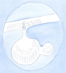 Alle guten Früchte beziehen ihre Güte vom 