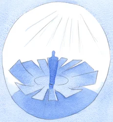 Wer in seinem Gebet wahrhaftig zu Gott sagt: 