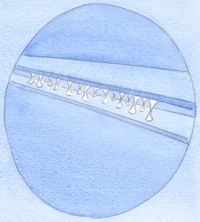 Der kleinste Hauch von Eigenwillen schwächt die Vereinigung der Seele mit Gott, wie wenn Bretter zusammengeklebt und auseinandergezogen werden