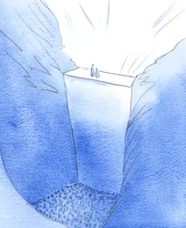 Die Mauer der Sünde, die uns von Gott trennt, wird nur von Christus erklommen, der mit seiner Mutter steht. Nur er kann uns helfen, die Herrlichkeit des Himmels zu erreichen.