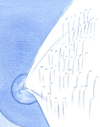 Im Himmel wird gefeiert, wann immer die Kirche Christi auf Erden einen besonderen Anlass feiert, auch wenn die Heiligen nicht 