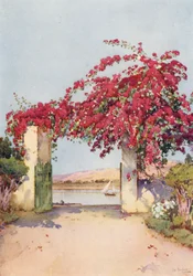 Ein Garten in Luxor
