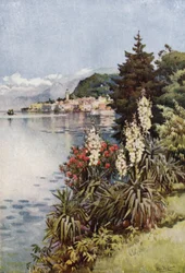 Eine Gruppe von Yuccas, Villa Melzi, Lago di Como