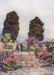 Botanische Gärten, Orotava