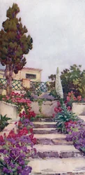 Statices und Stolz von Teneriffa