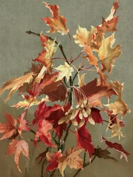 Herbstblätter, Nr. 2 (Ahorn)