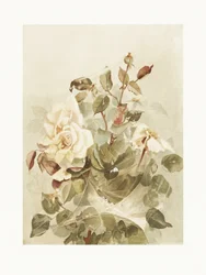 Rosa Rosen im Morgentau