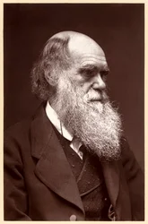 Charles Darwin: Englischer Naturforscher