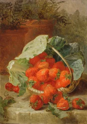 Erdbeeren in einem Kohlblatt, 1891