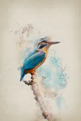 Lebendiger Eisvogel Aquarell