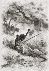 Ein Leopard greift einen Afrikaner an, Illustration aus 