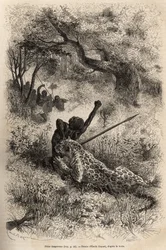 Ein Leopard springt auf einen Mann und beißt ihn grausam in den Rücken, in der Nähe von Bambare (Kongo), Gravur nach einer Zeichnung von Emile Bayard, die David Livingstones letztes Tagebuch (1813-1873) illustriert, in 1866-1873, veröffentlicht in "Le tour