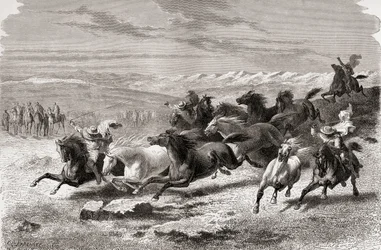 Argentinische Gauchos treiben Wildpferde zusammen, Illustration aus 