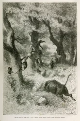 Niederlage der Expedition vor dem Angriff eines Büffels, Zeichnung von Emile Bayard, zur Illustration der Geschichte: Durch Afrika, von Sansibar (Tansania) nach Benguela (Angola), von 1872 bis 1876, von Leutnant V.H. Cameron. Gravur in Le tour du monde