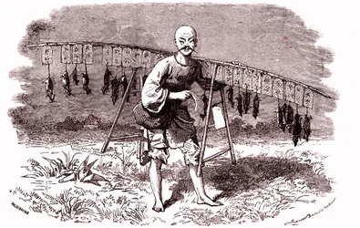 Rattenfänger in China