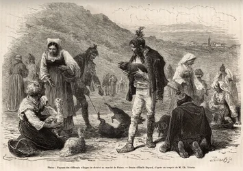 Die Bauern in der Umgebung von Pisino (Kroatien) versammeln sich zum Verkauf ihrer landwirtschaftlichen Produkte auf dem Markt: Geflügel, Ferkel..., Gravur nach einer Zeichnung von Emile Bayard zur Illustration der Reise nach Istrien und Dalmatien, 1874, v