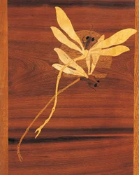 Libellen, Detail aus Jugendstil-Schrank, ca. 1900, von Emile Galle (1846-1904), geschnitzte und eingelegte Walnuss, Frankreich, 20. Jahrhundert