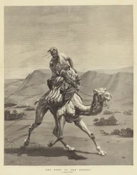 Der Posten der Wüste