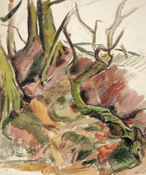 Baumstudie