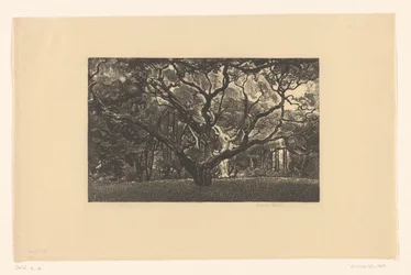 Alter Baum