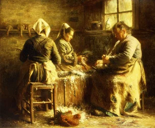 Hühner rupfen - Später Morgen Sommer in der Bretagne