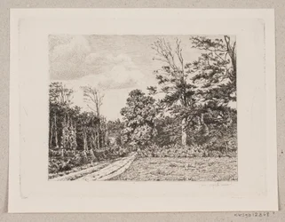 Waldpartie