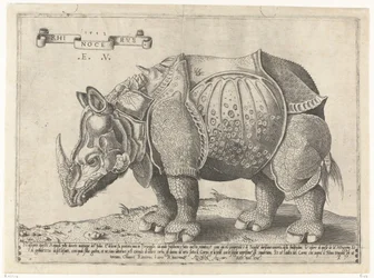 Nashorn